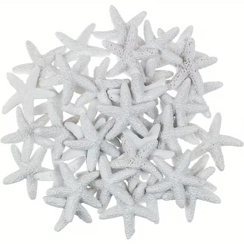 16pc Starfish Cake Decorating