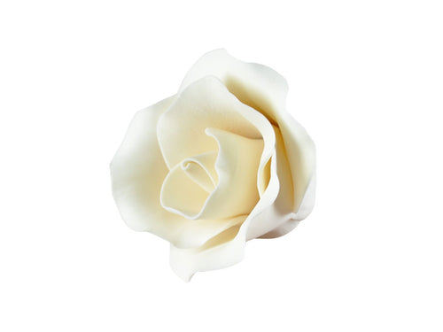 Sugar Flower - Medium Single Rose - Ivory