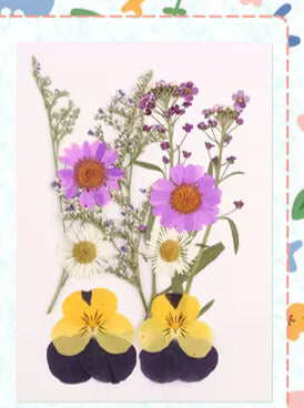 Wildflower - Dried Floral Accents - Assorted Flowers