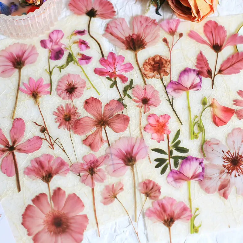50PC Transparent Pressed Flower Stickers