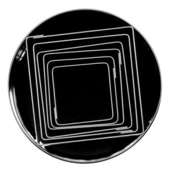 Loyal 6pc Tinplate Cutter Set - Square