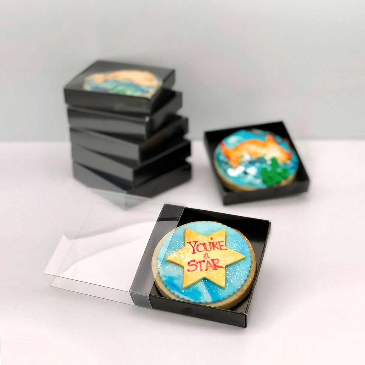 Loyal Biscuit Box - Assorted Sizes