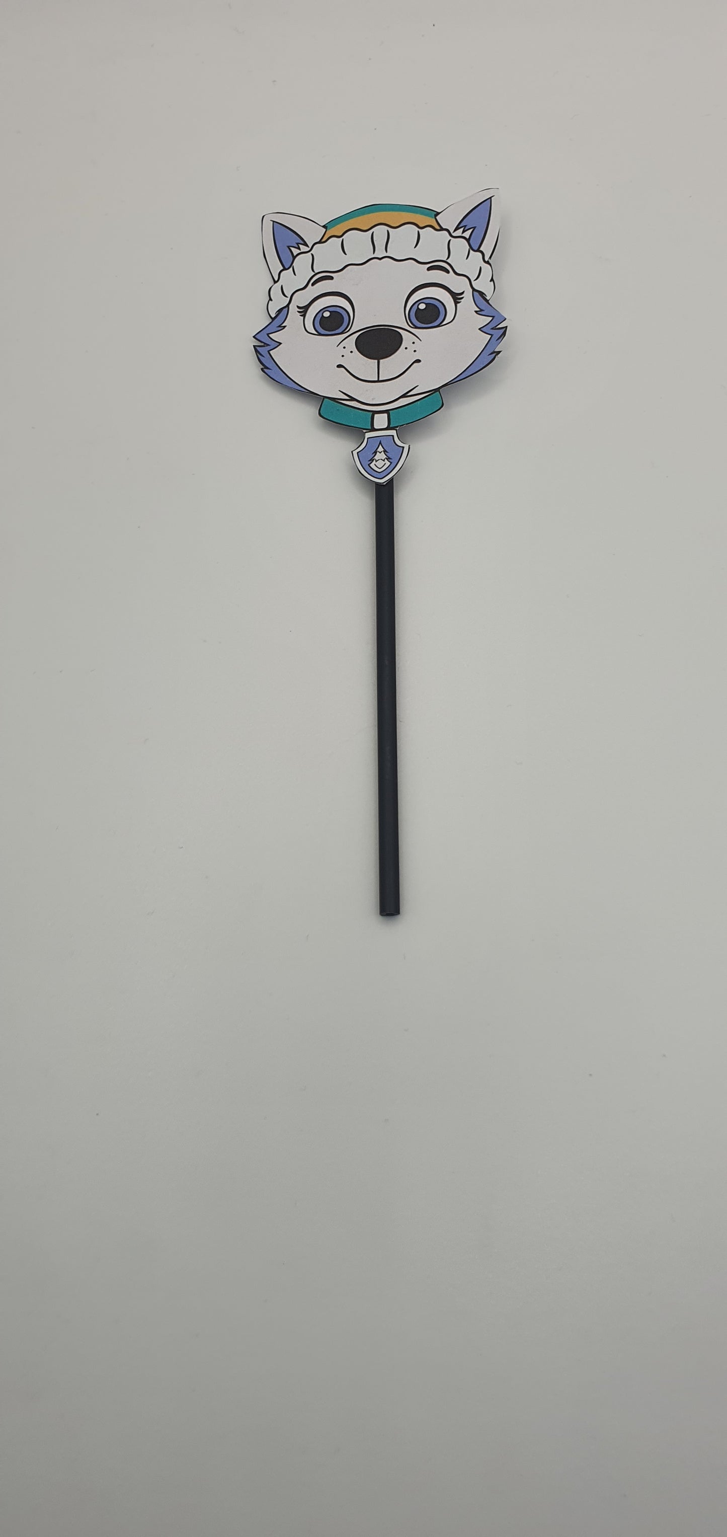 Paw Patrol Cardstock