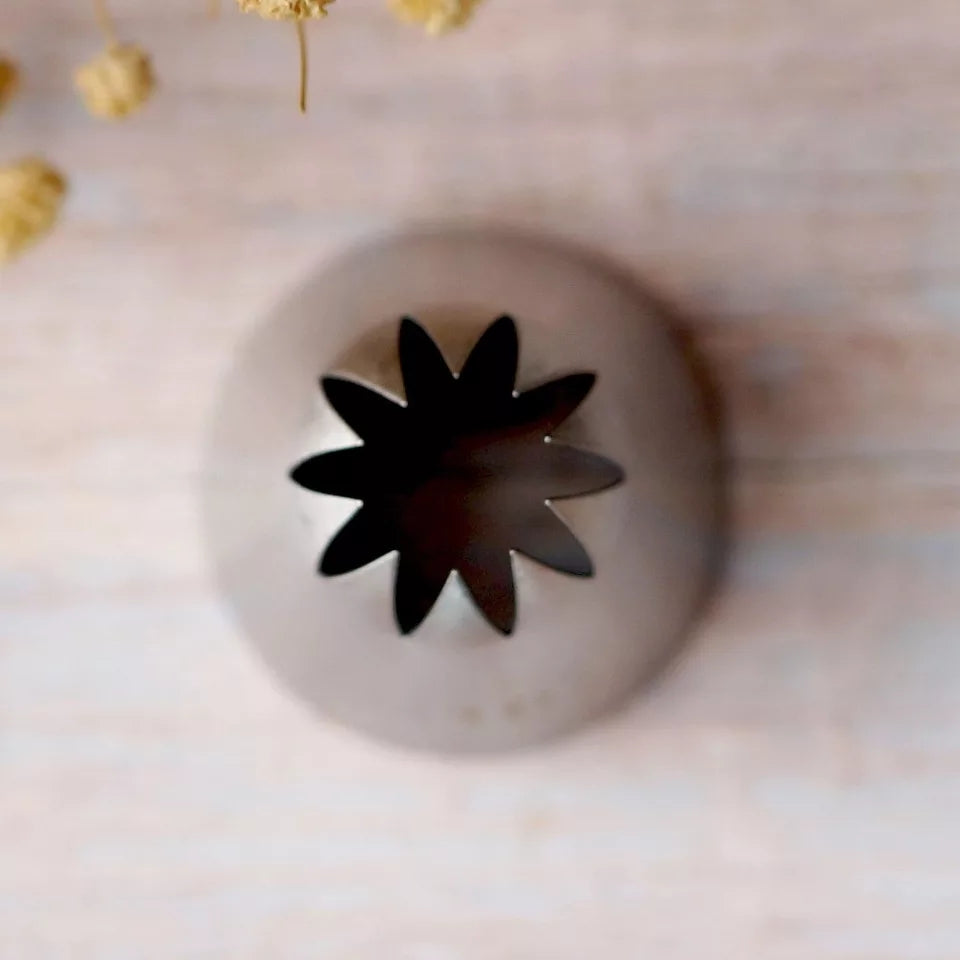 Piping Tip - Large #C10