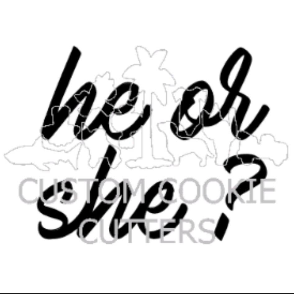 Custom Cookie Cutters Embosser - He or She?.