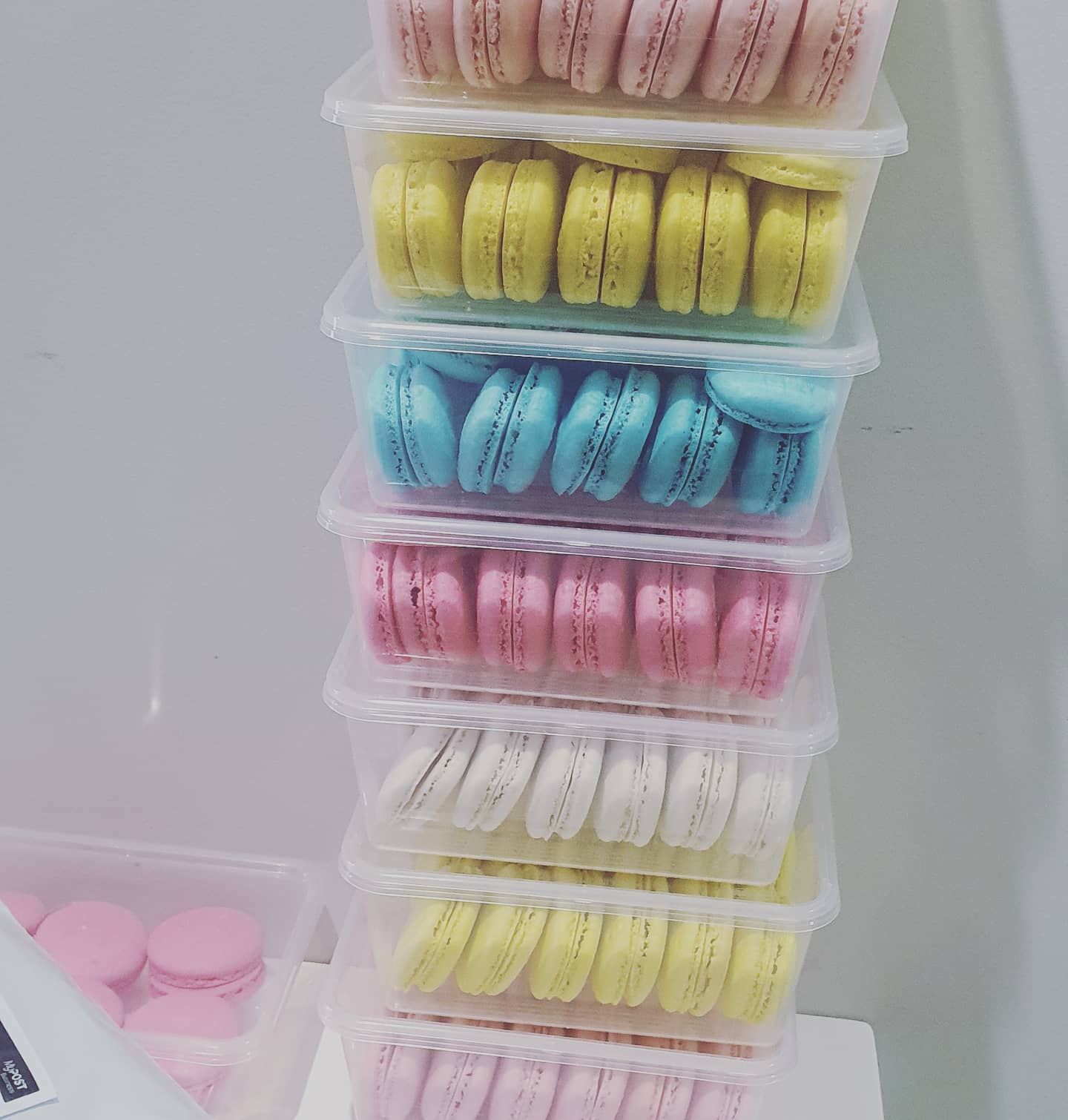 Unfilled Macaron Shells - Single Macaron (2 x halves) *PICKUP ONLY*