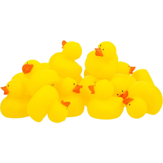 Mini Rubber Duck