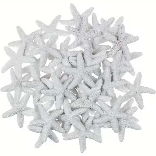 16pc Starfish Cake Decorating