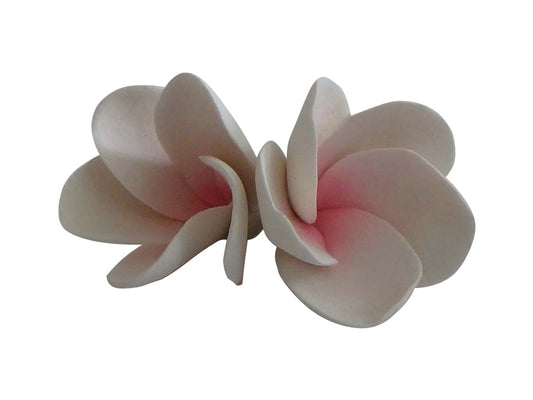 Sugar Flower - Frangipani - Pink.