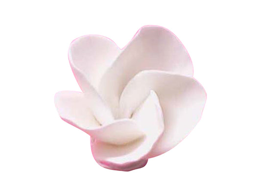 Sugar Flower - Frangipani - White.