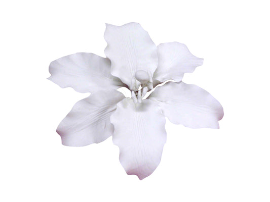 Sugar Flower - Stargazer Lily - White.