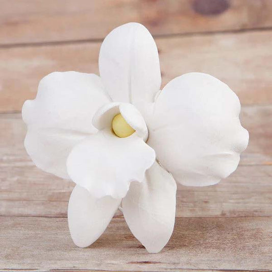 Sugar Flower - African Orchid - White Small.