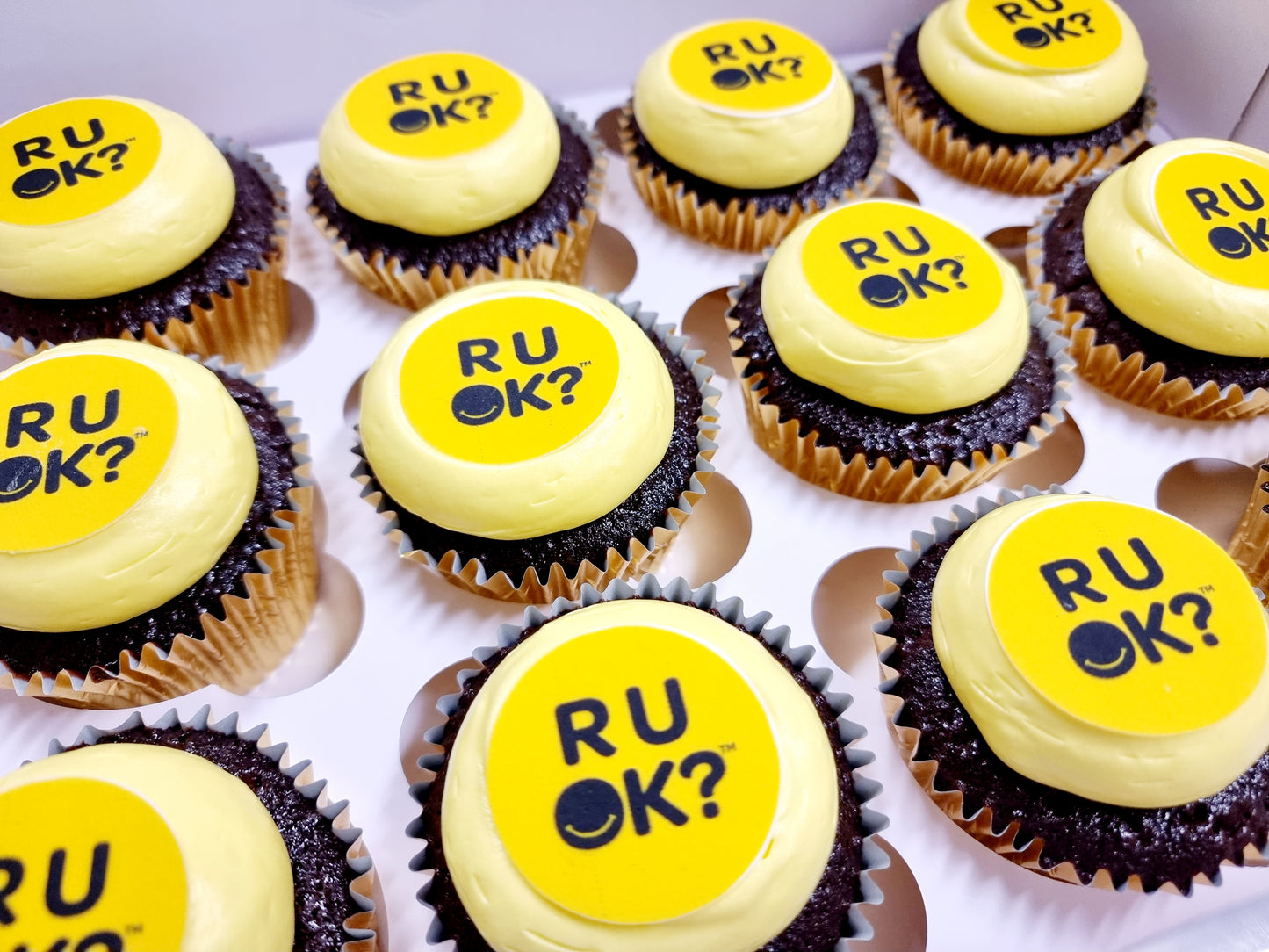R U OK? Cupcakes - 10th September (please advise if different date required) *Pickup Only*