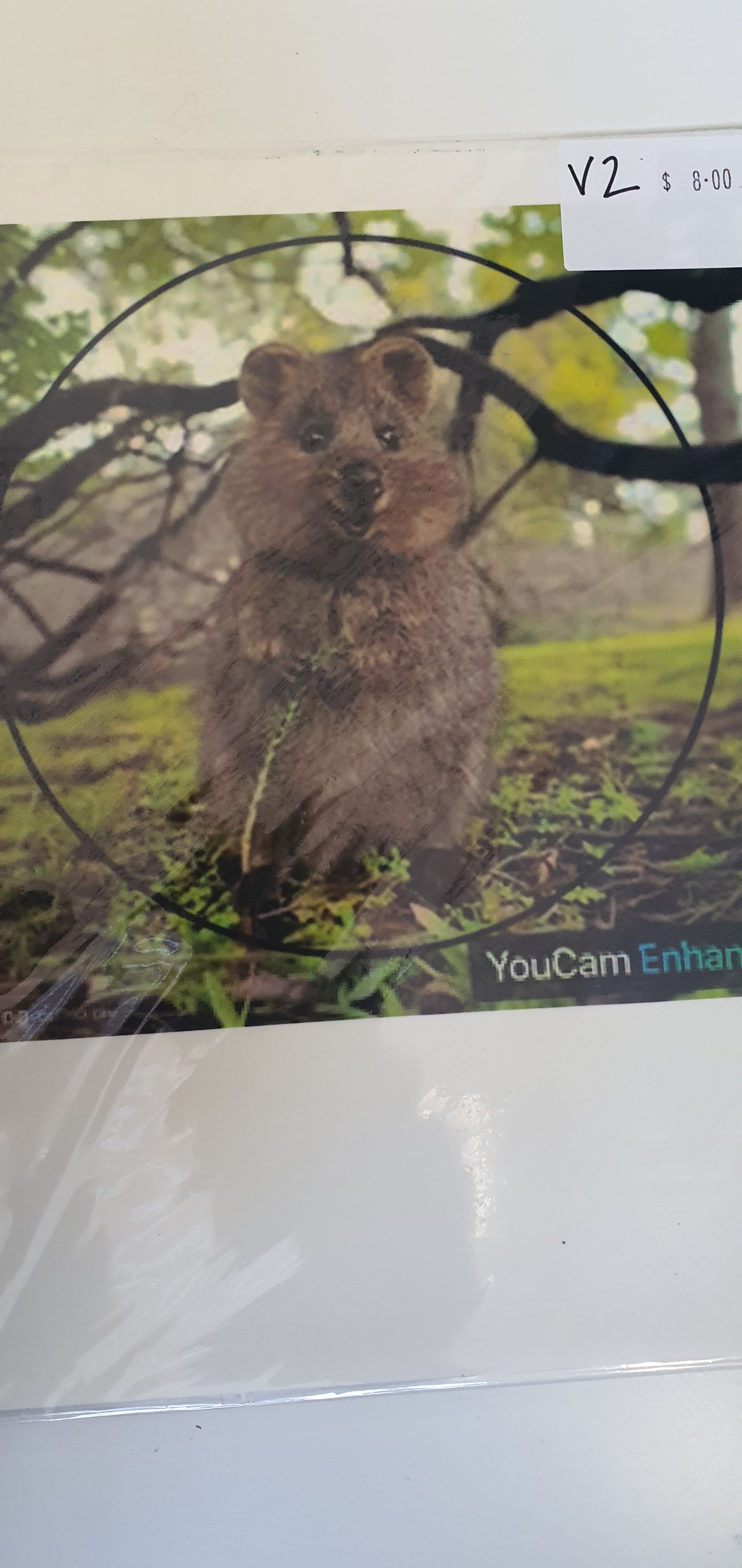 A4 Seconds Edible Images.