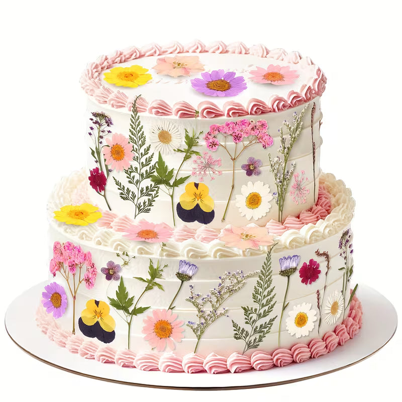 Wildflower - Dried Floral Accents - Assorted Flowers