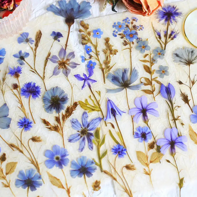 50PC Transparent Pressed Flower Stickers