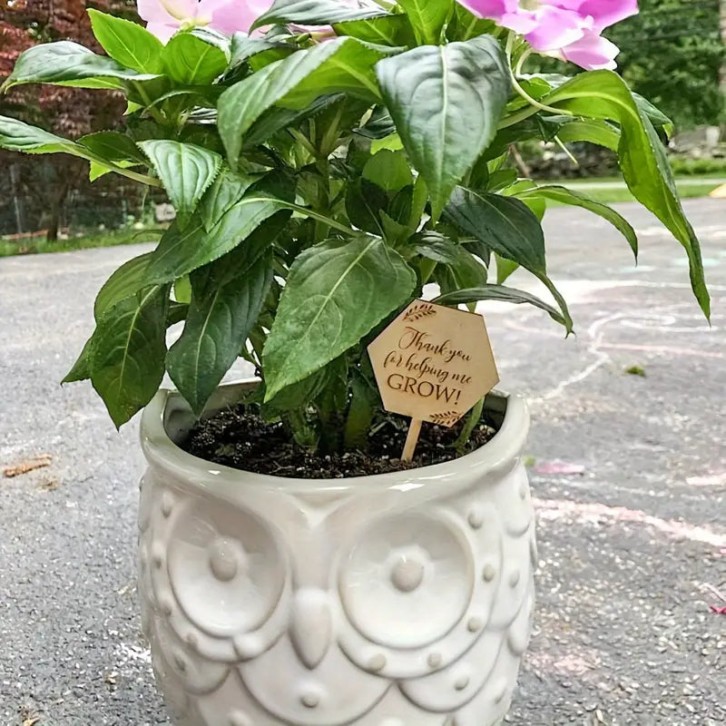 Thankyou for Helping me Grown Plant Pick - Thankyou Gift