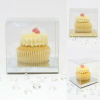 Single Cupcake - Clear Box with Insert - 10pc