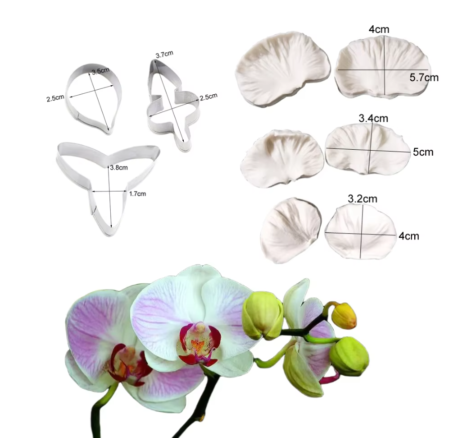 Silicone Mould - 9PCS Phalaenopsis Orchid Petal Veiners & Cutters - S589