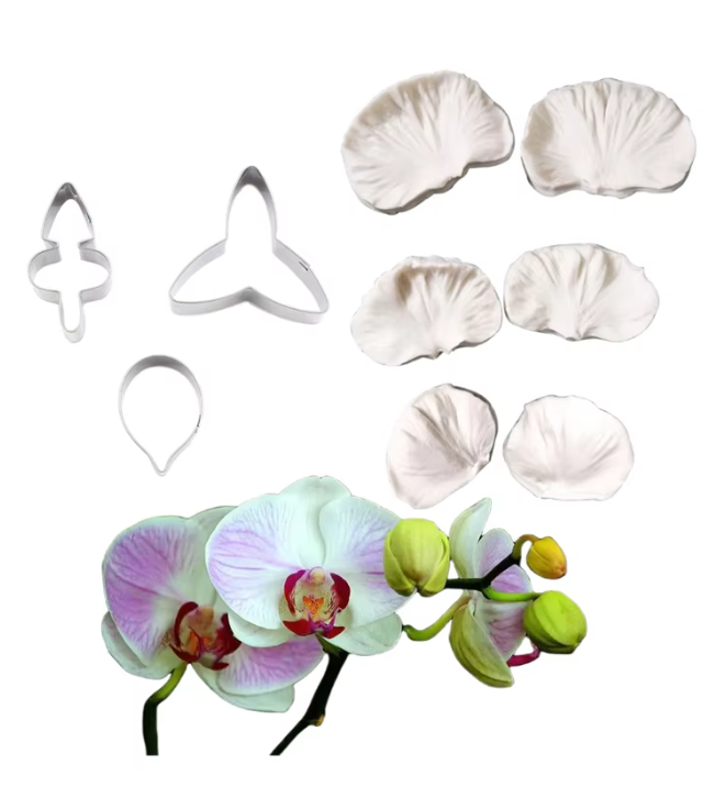 Silicone Mould - 9PCS Phalaenopsis Orchid Petal Veiners & Cutters - S589