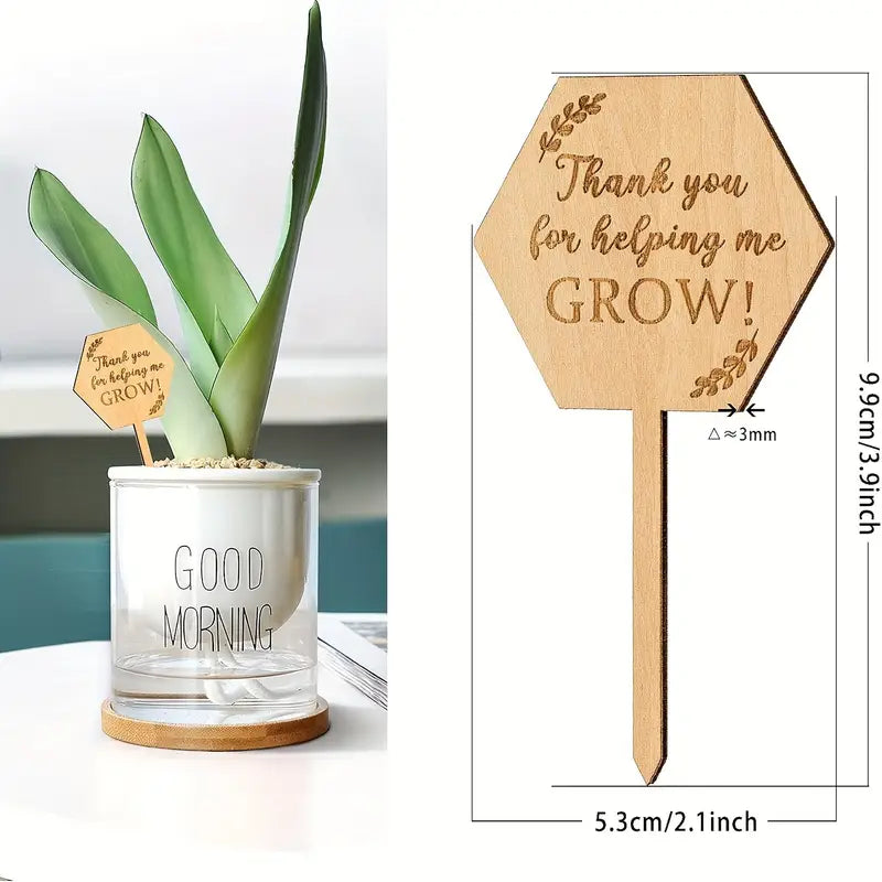 Thankyou for Helping me Grown Plant Pick - Thankyou Gift