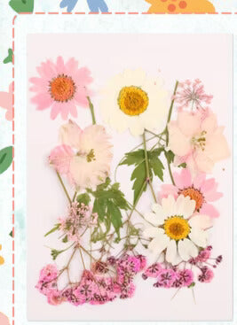Wildflower - Dried Floral Accents - Assorted Flowers