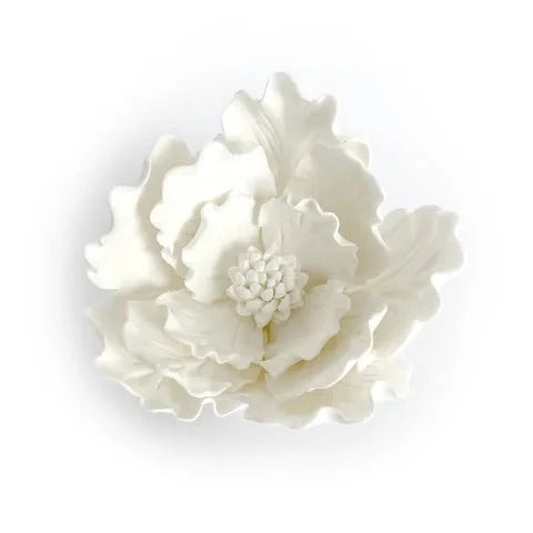 Sugar Flower - Peony - White.