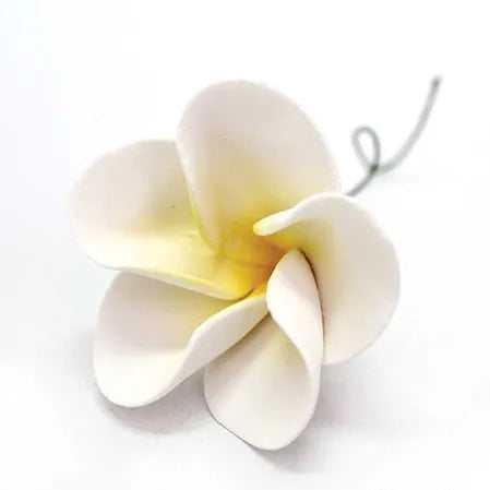 Cake Craft Single Sugar Flower - Large Frangipani Yellow