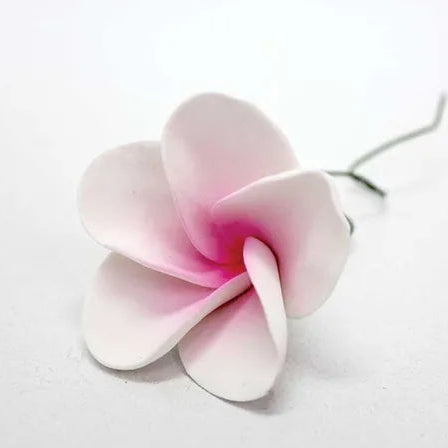 Cake Craft Single Sugar Flower - Large Frangipani Pink