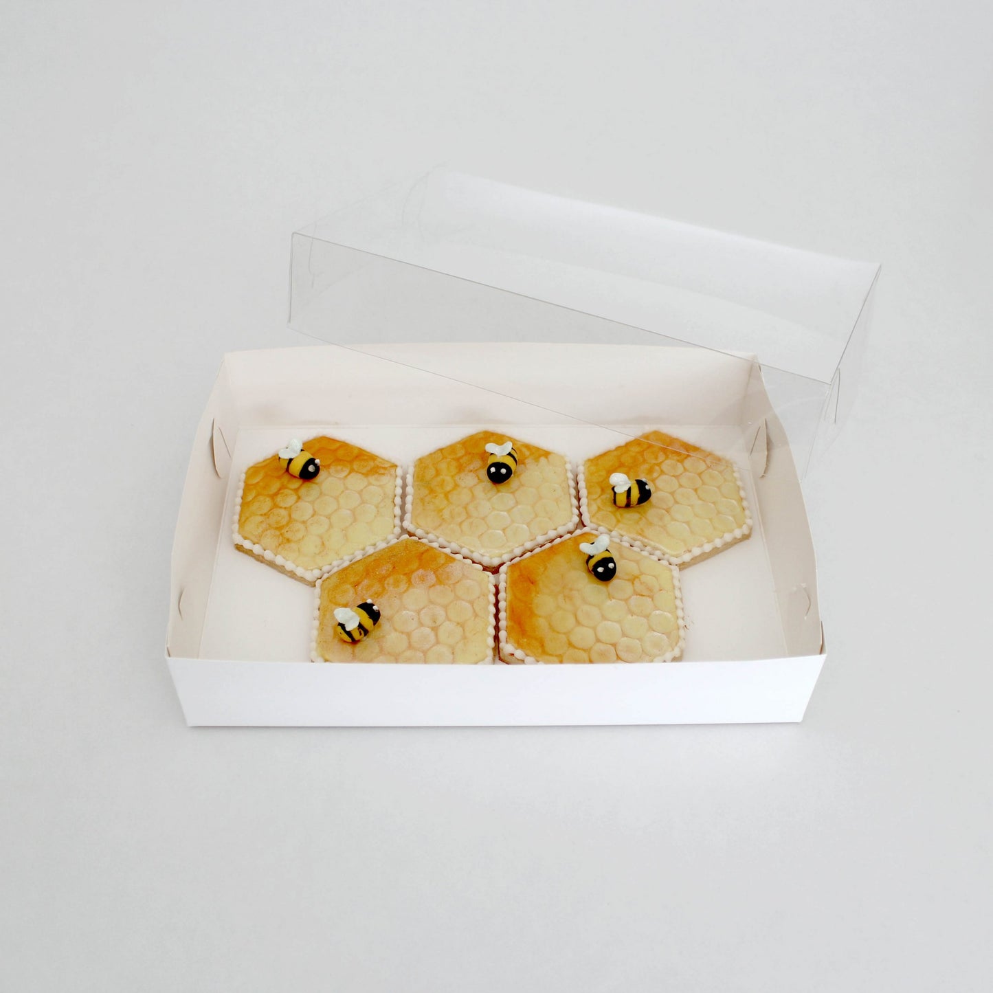 Loyal Biscuit Box - Assorted Sizes
