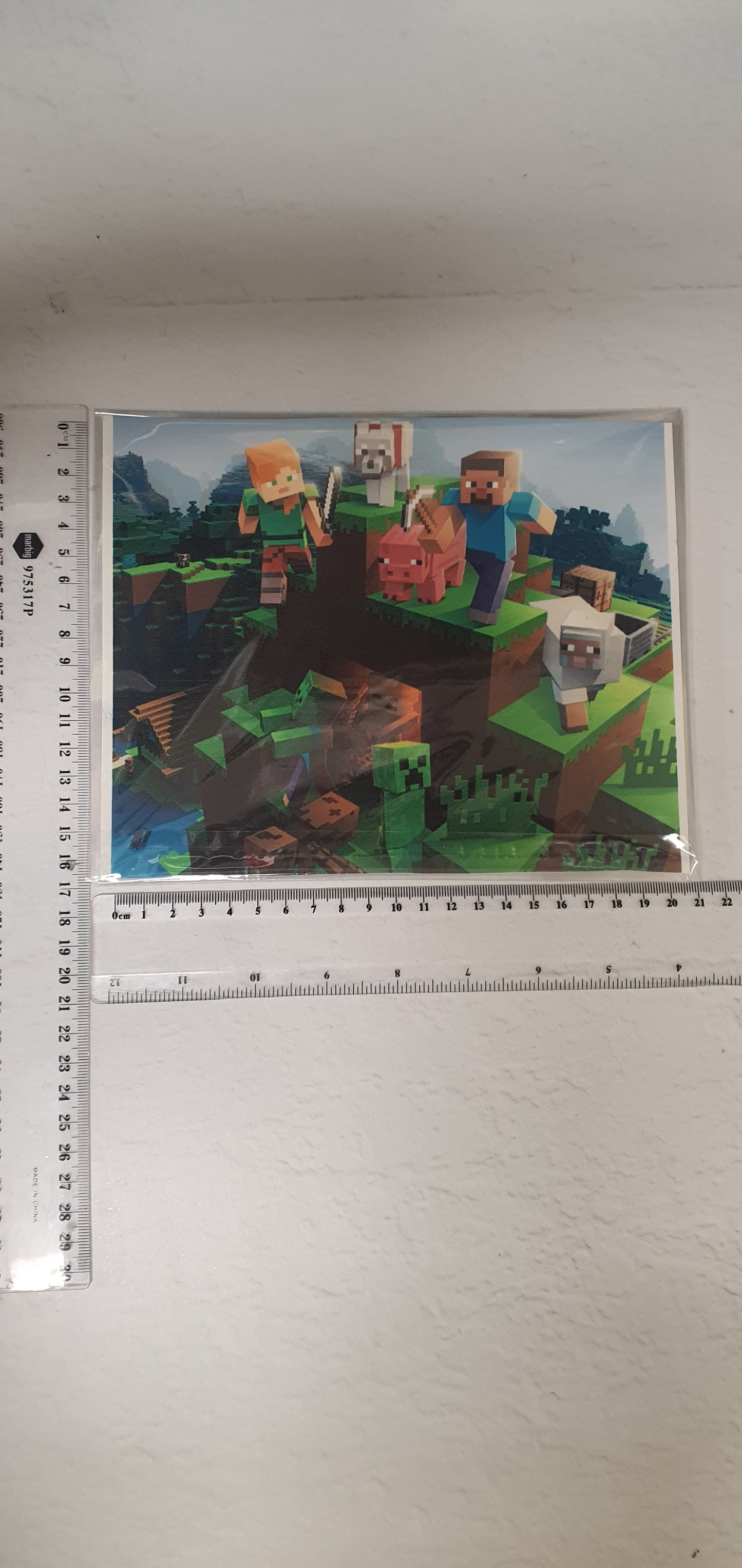 Large Edible Image - Seconds - Assorted Pictures