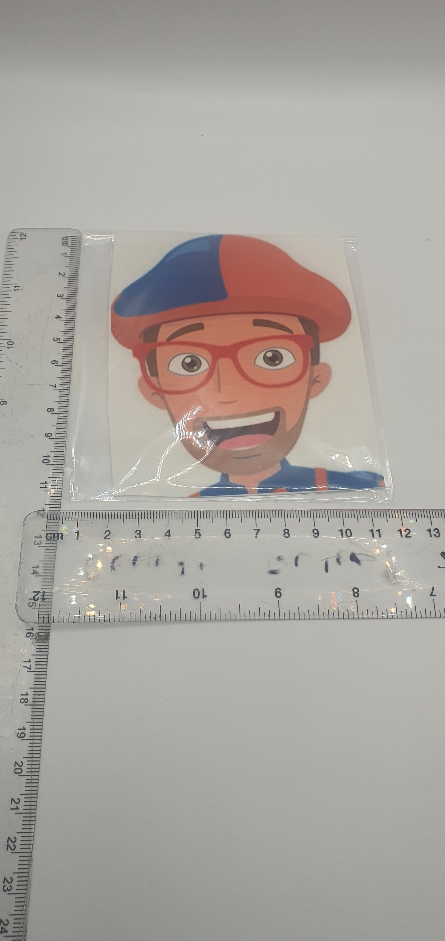 Large Edible Image - Seconds - Assorted Pictures