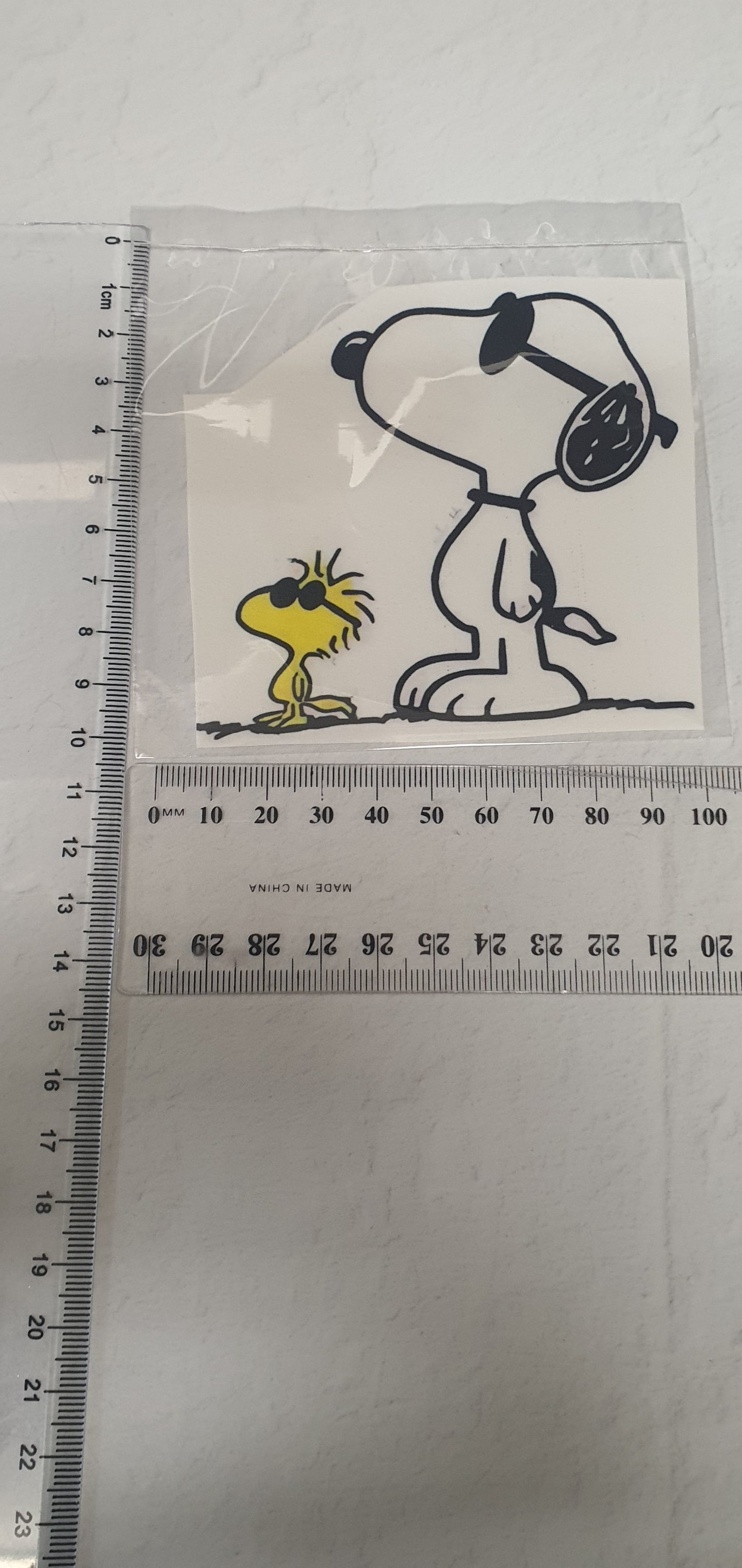 Large Edible Image - Seconds - Assorted Pictures