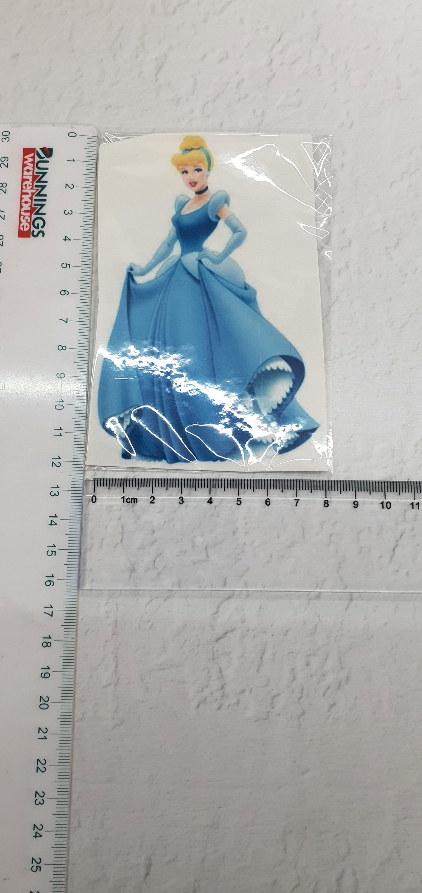 Large Edible Image - Seconds - Assorted Pictures