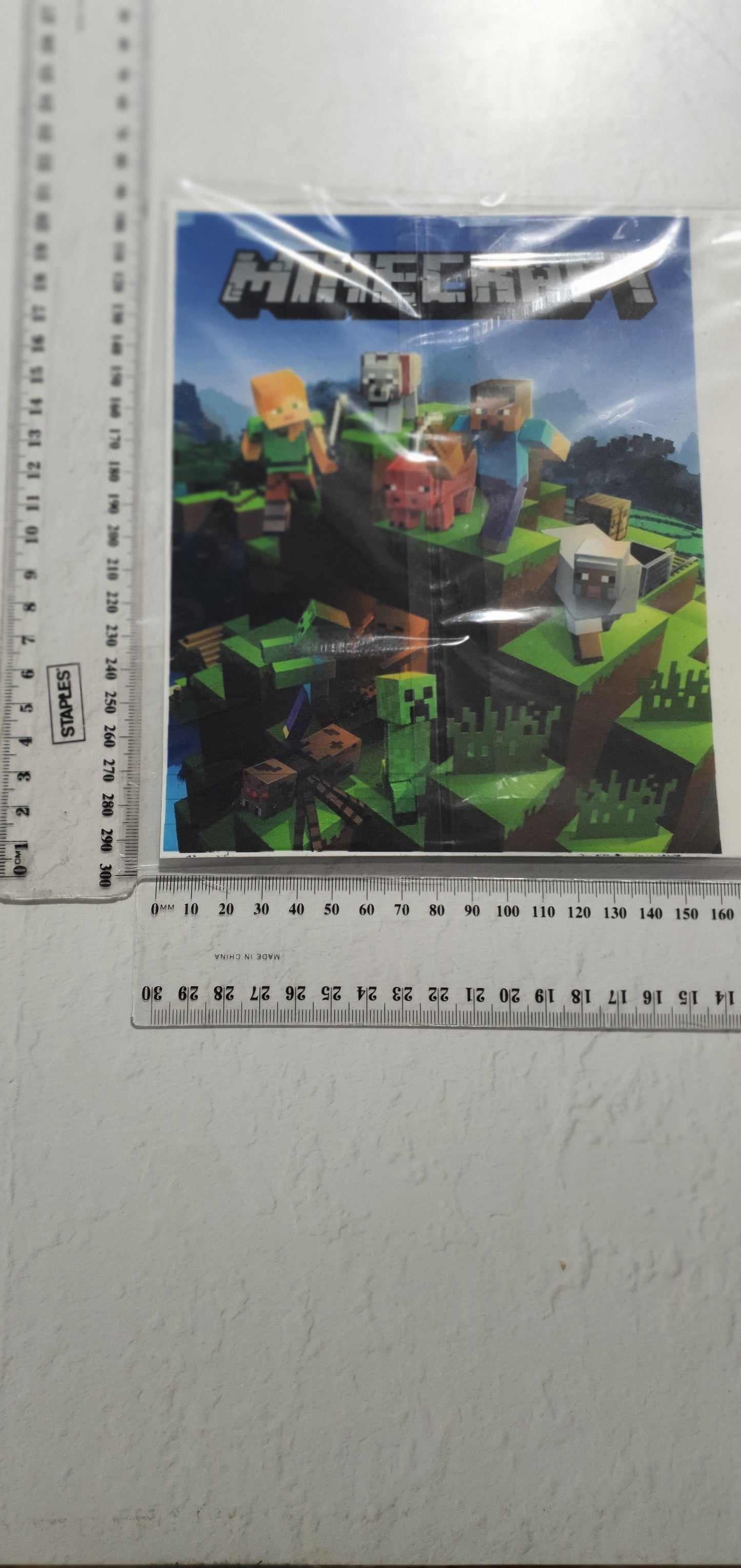 Large Edible Image - Seconds - Assorted Pictures