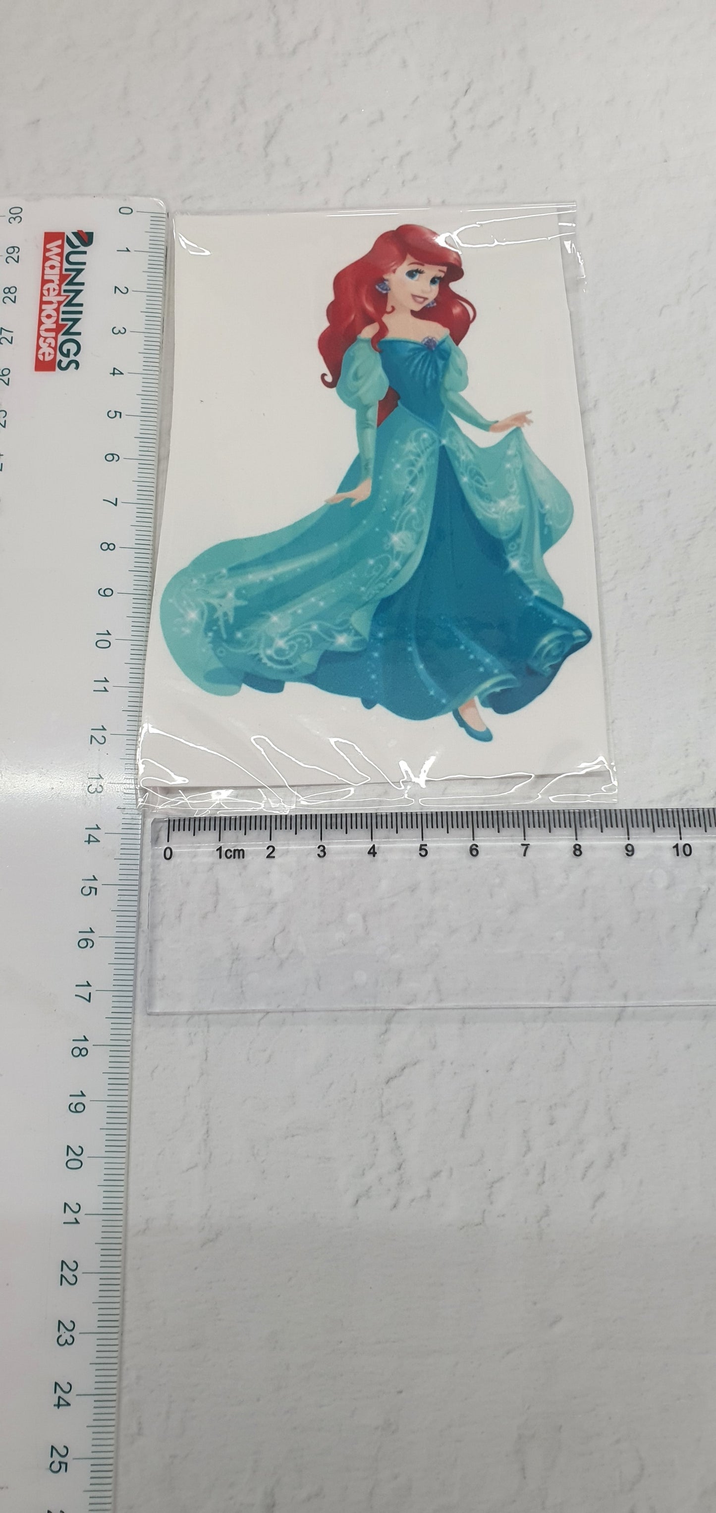 Large Edible Image - Seconds - Assorted Pictures