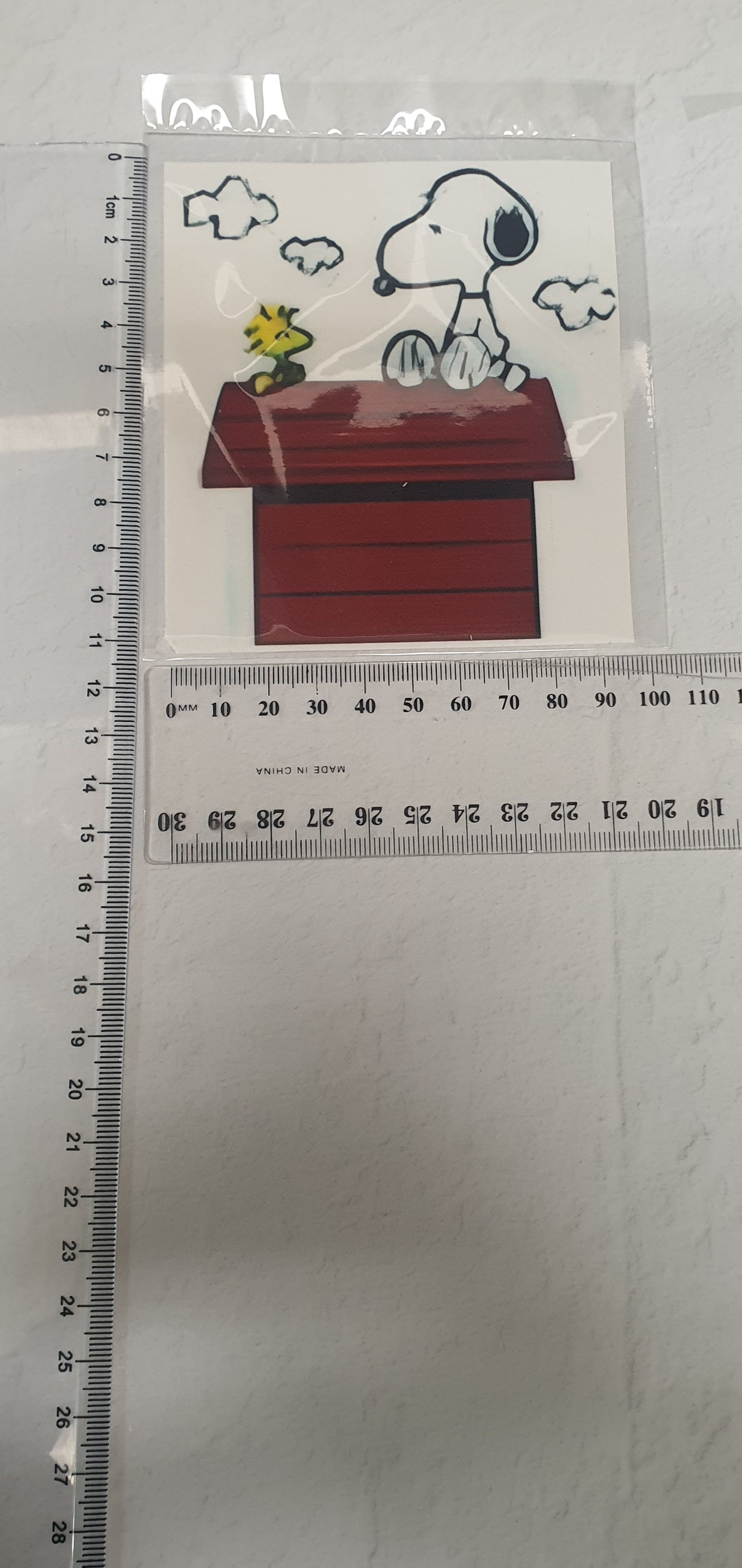 Large Edible Image - Seconds - Assorted Pictures