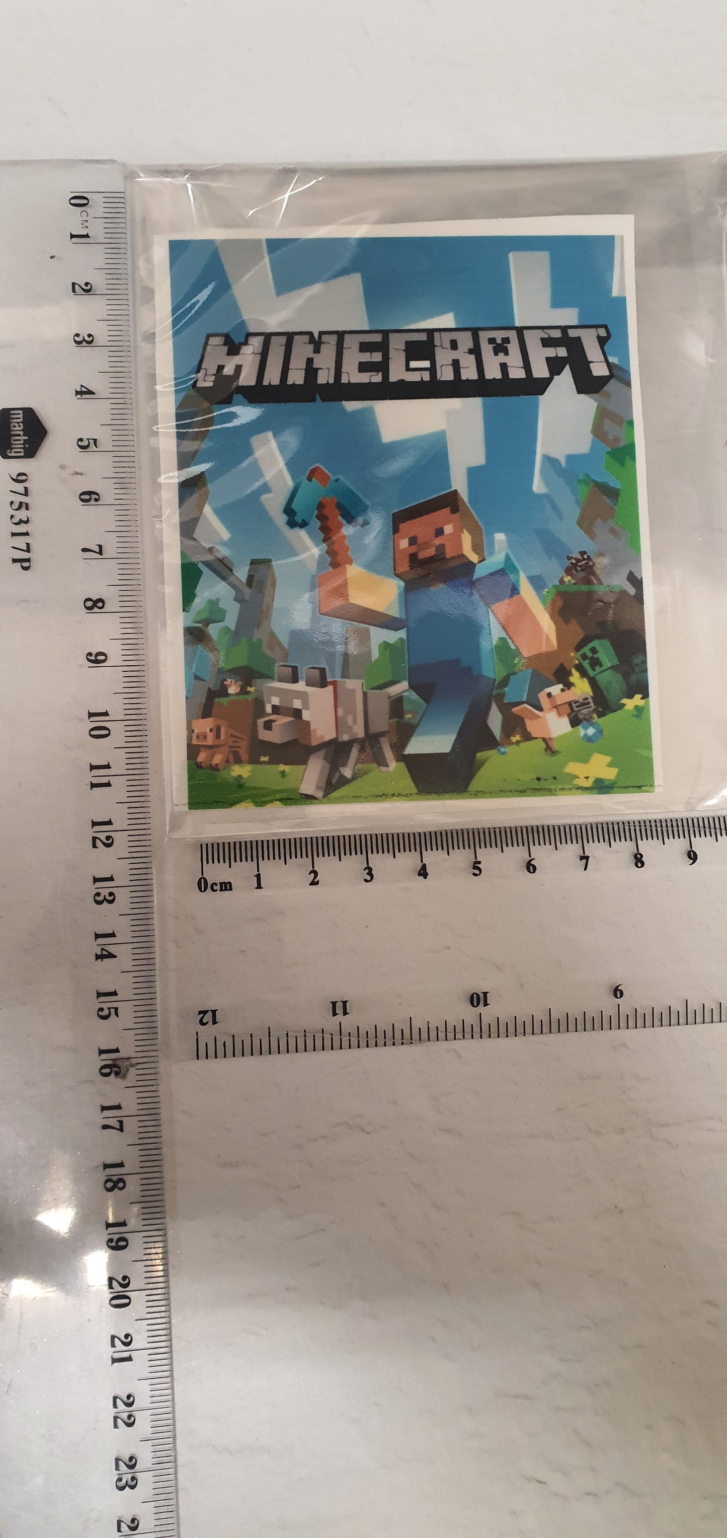 Medium Edible Image - Seconds - Assorted Pictures