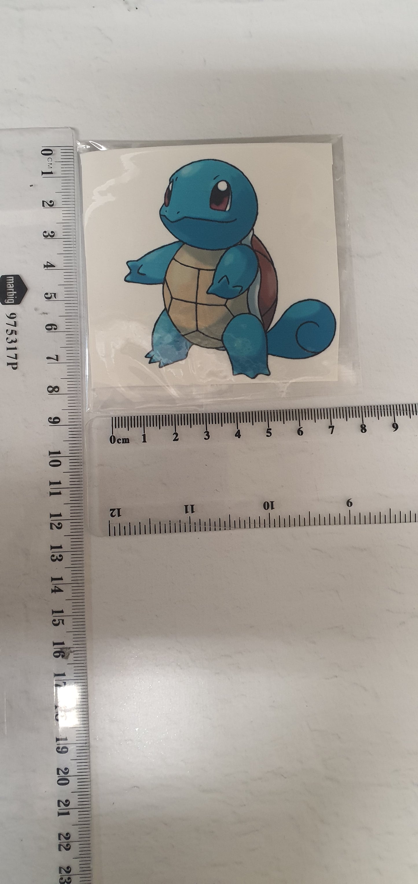 Medium Edible Image - Seconds - Assorted Pictures