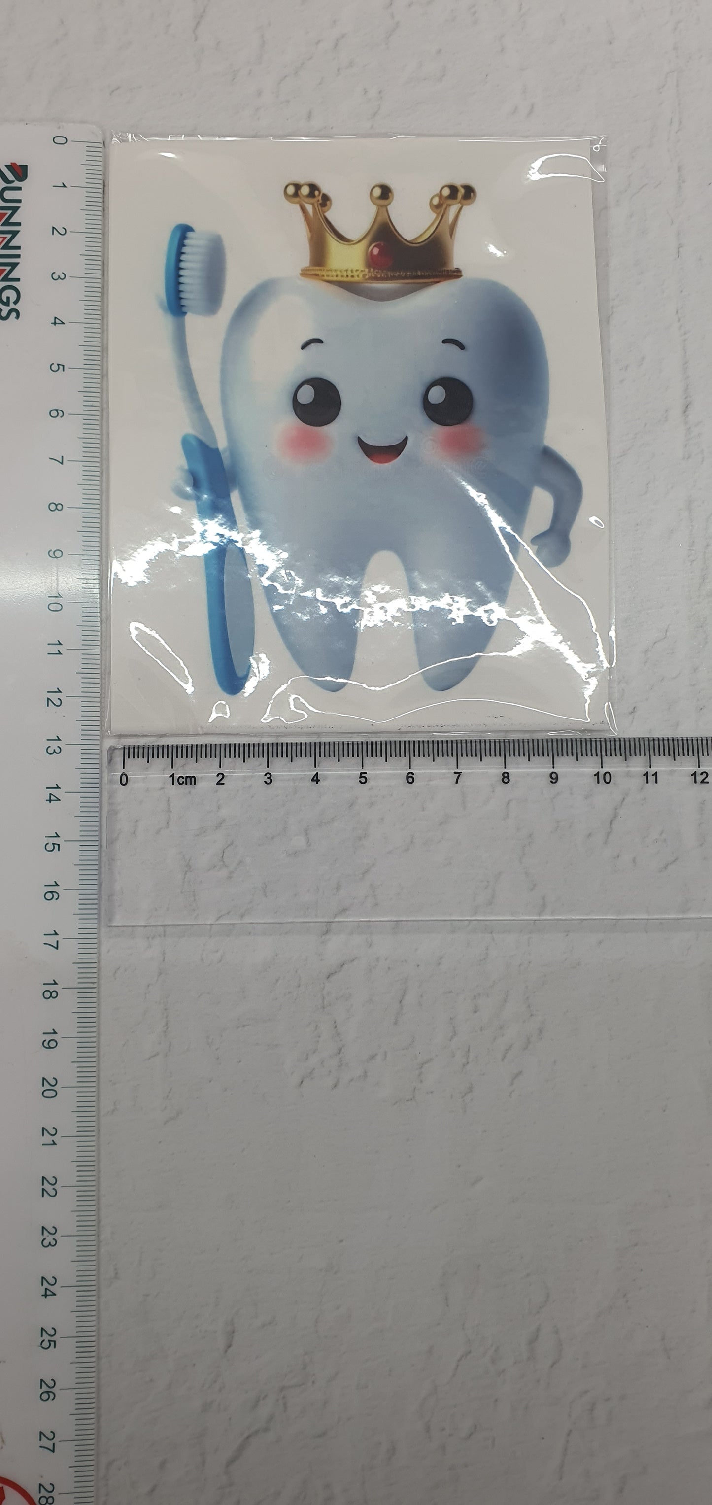 Large Edible Image - Seconds - Assorted Pictures