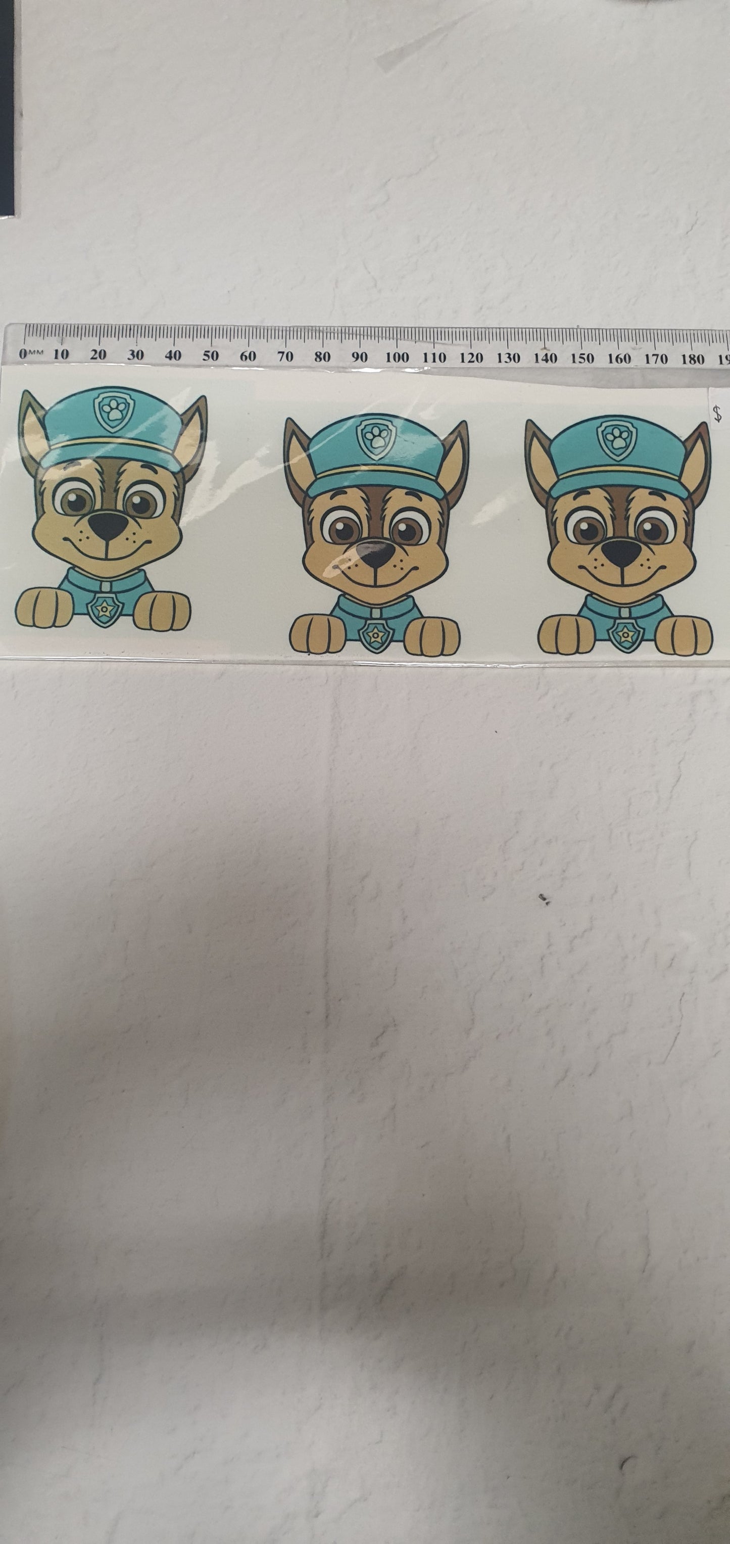 Large Edible Image - Seconds - Assorted Pictures