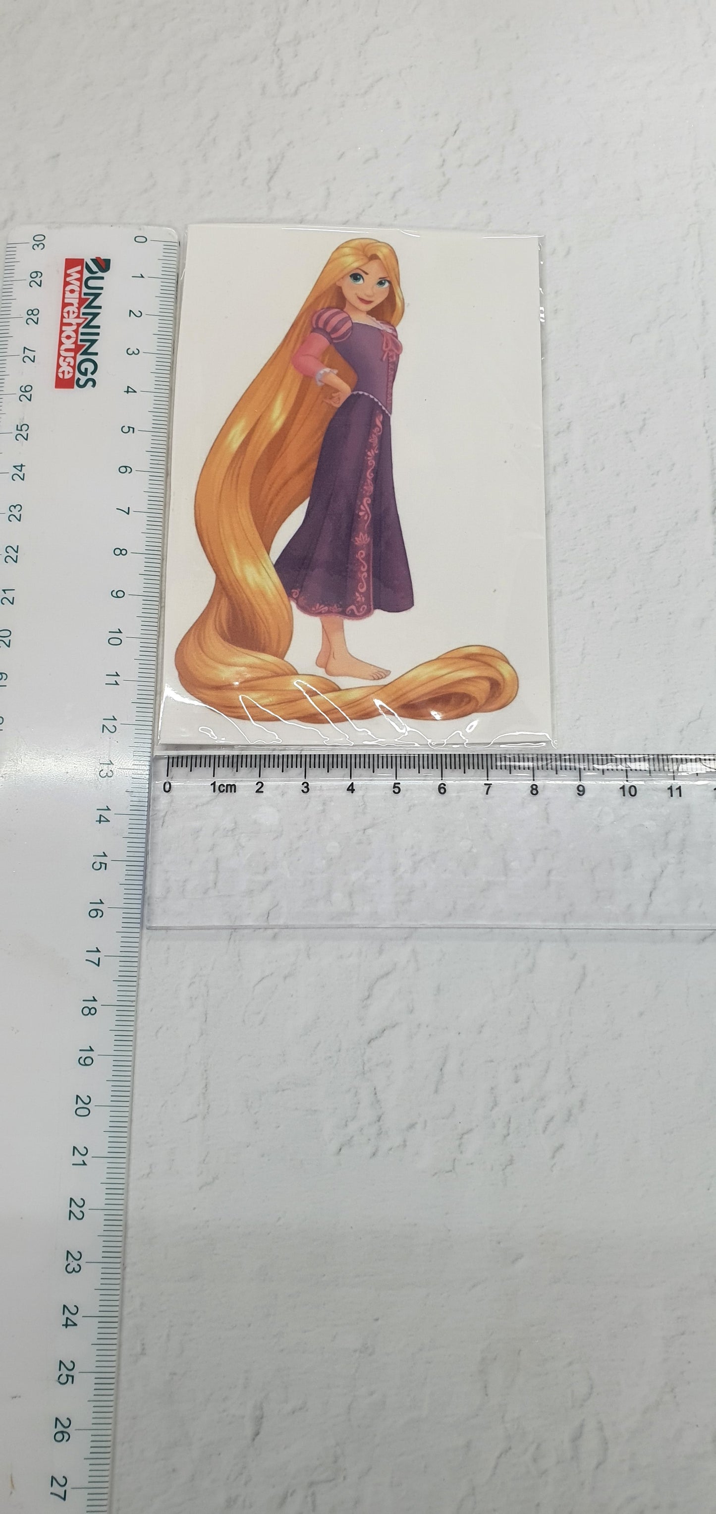 Large Edible Image - Seconds - Assorted Pictures