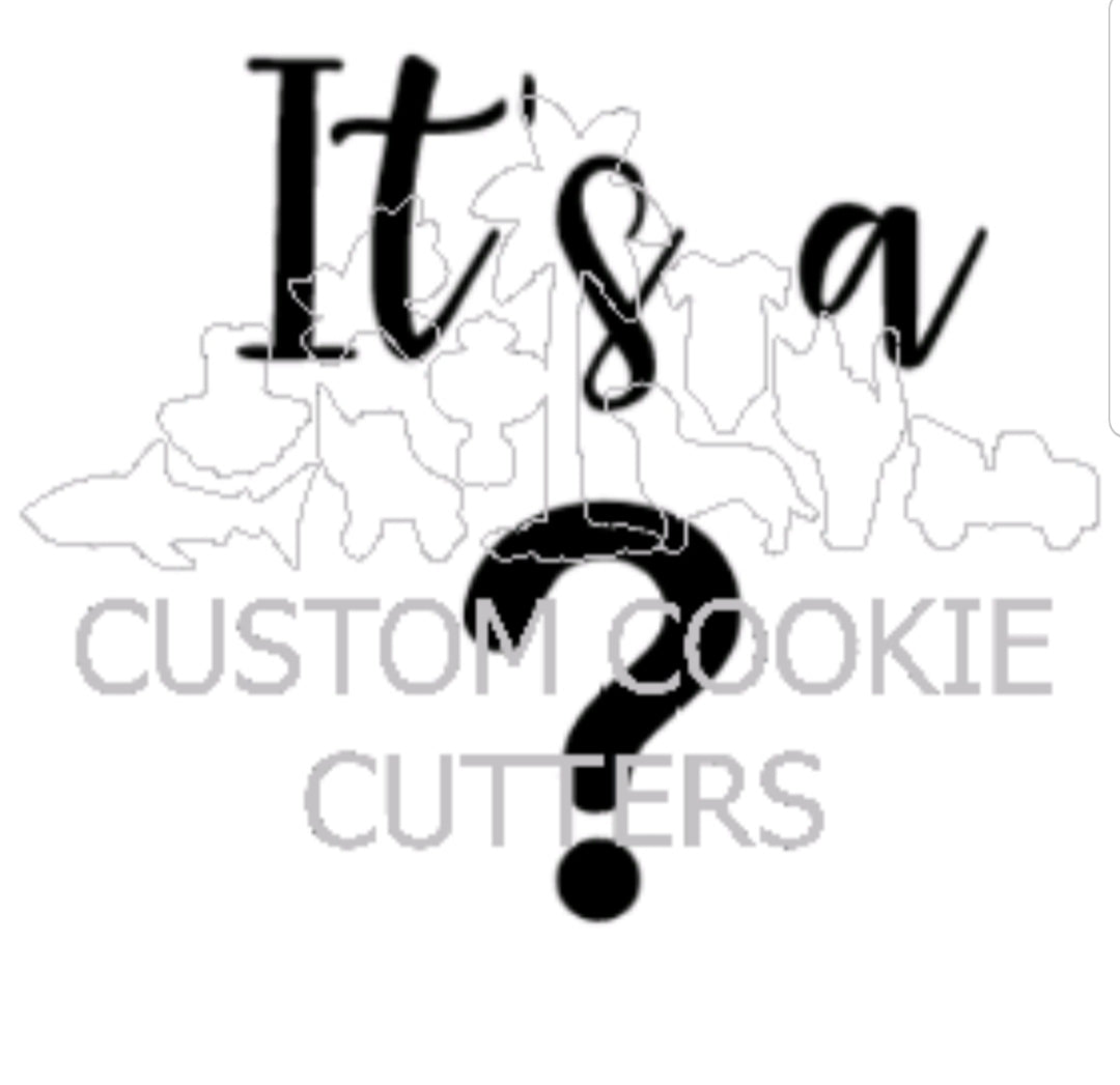 Custom Cookie Cutters Embosser - Its a?. - LAST ONE