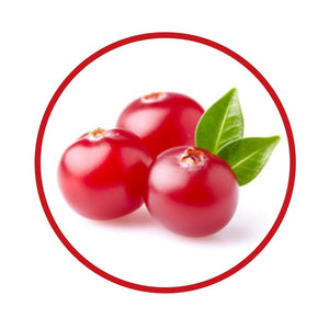 30ml Roberts Flavour - Cranberry