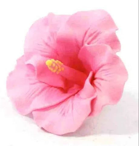 Sugar Flower Pink Hibiscus - Small