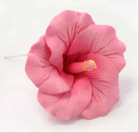 Sugar Flower Pink Hibiscus - Medium.