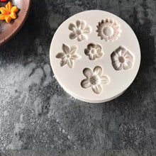 Silicone Mould - 6 x Assorted Flowers - S209