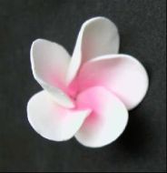 Sugar Flower - Frangipani - Pink