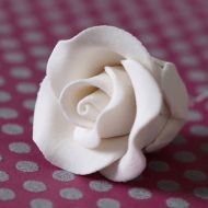 Sugar White Tea Rose - Small.