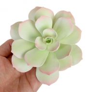 Sugar Flower - Starburst Succulent - Light Green.